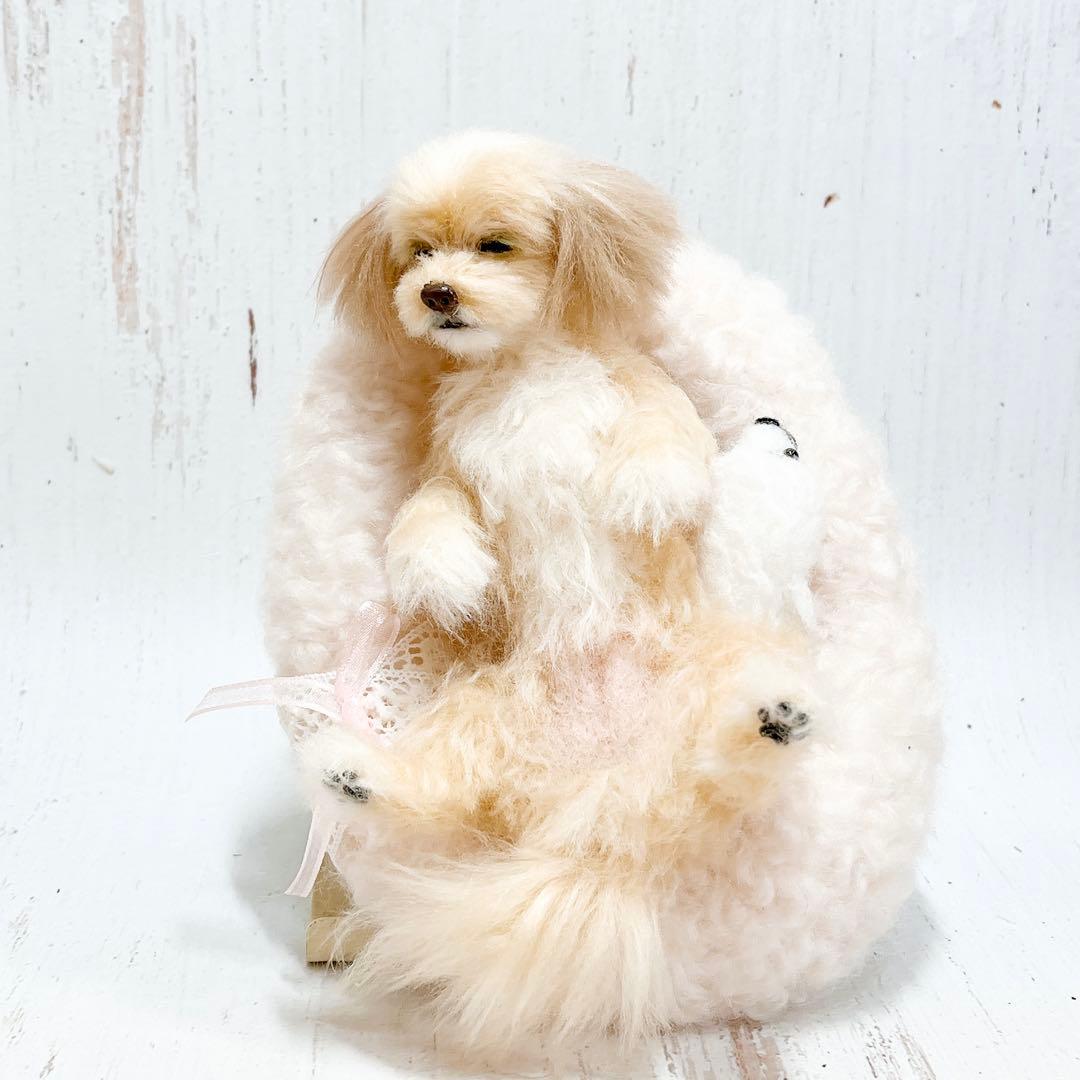 羊毛フェルト 犬 マルプー トイプードル ミックス犬