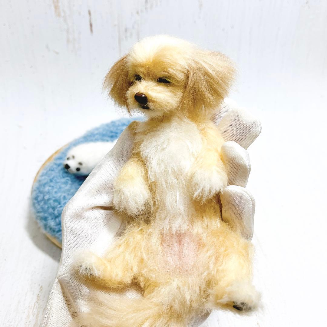 羊毛フェルト 犬 マルプー トイプードル ミックス犬