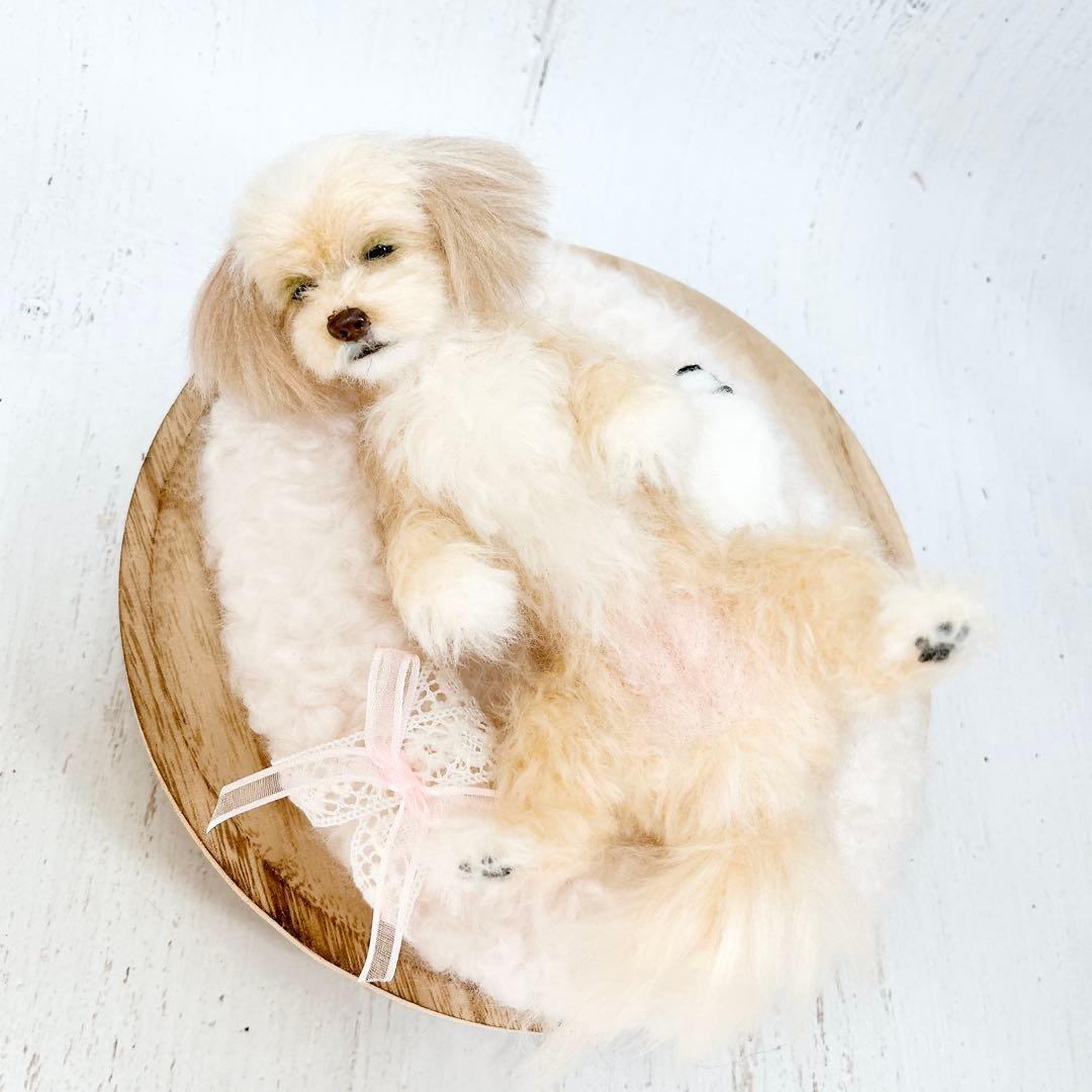 羊毛フェルト 犬 マルプー トイプードル ミックス犬