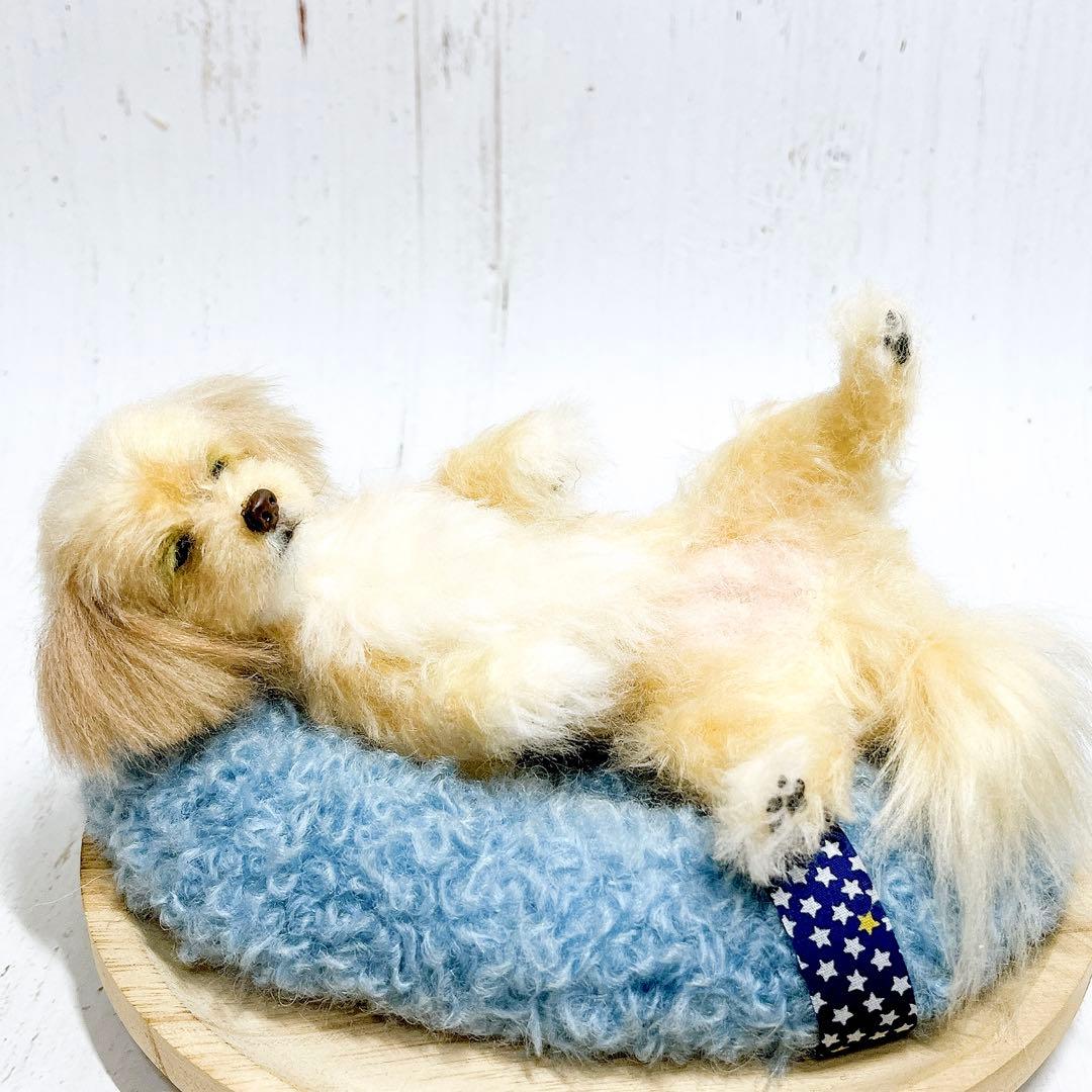 羊毛フェルト 犬 マルプー トイプードル ミックス犬