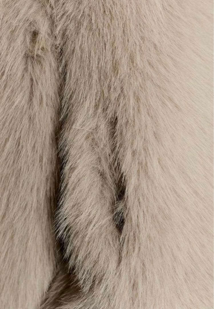 ZARA ダブルフェイス フェイクファー