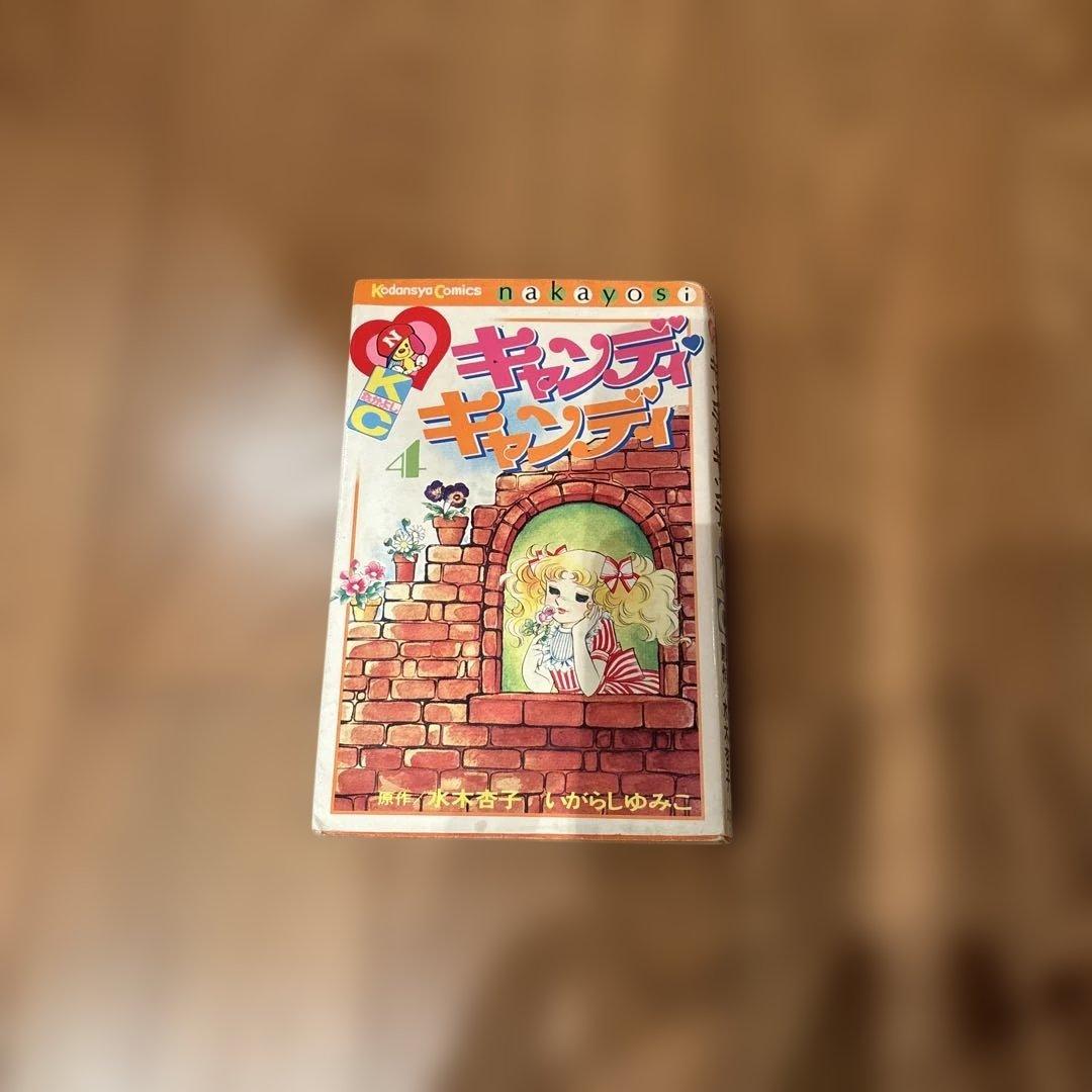 キャンディ♥️キャンディ 全9巻セット