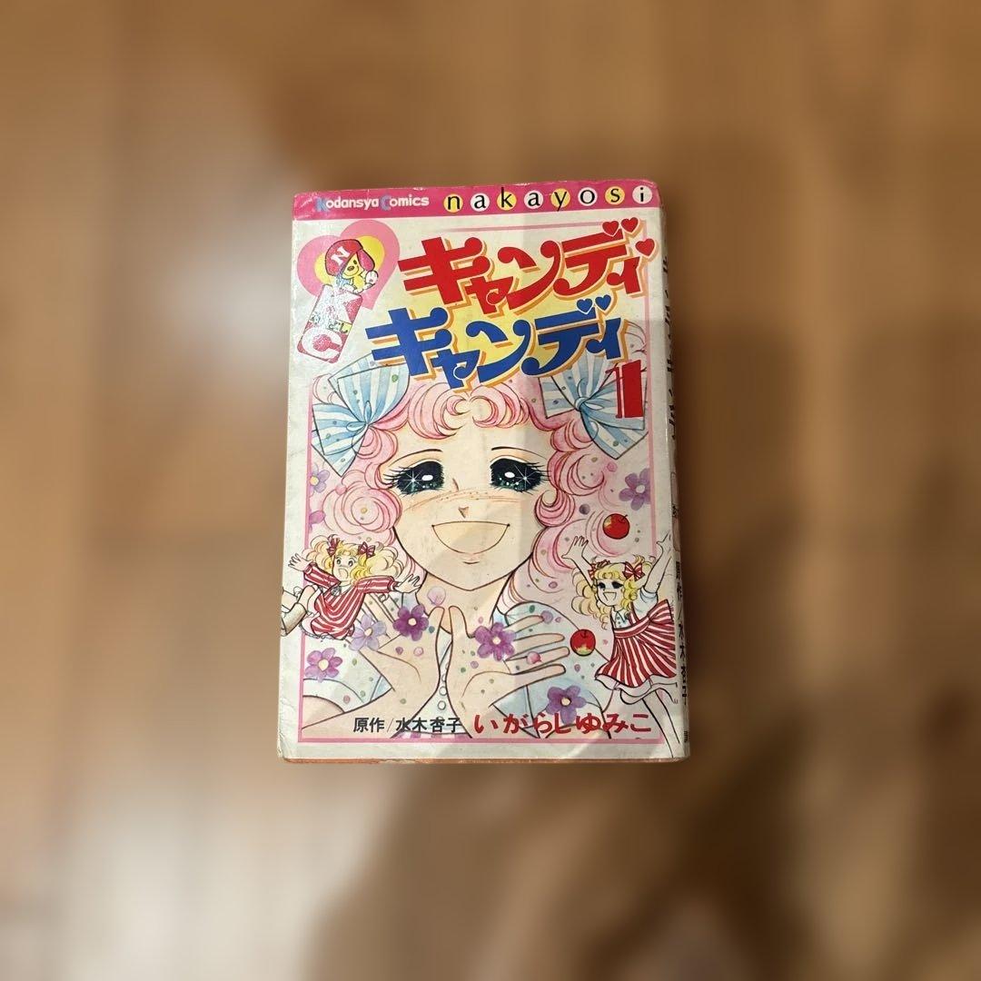 キャンディ♥️キャンディ 全9巻セット