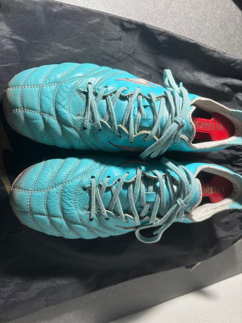 【本日限定価格】モレリアネオ3JAPAN カタールW杯限定カラー　25.5cm