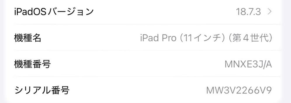 【おまけあり】iPad Pro 11インチ 第4世代　128GB Wi-Fi