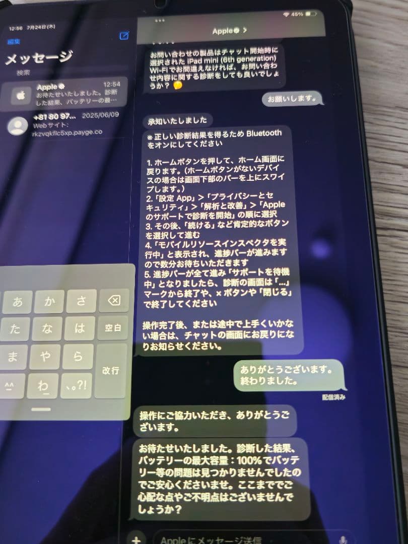 iPad mini6 64GB バッテリー100%