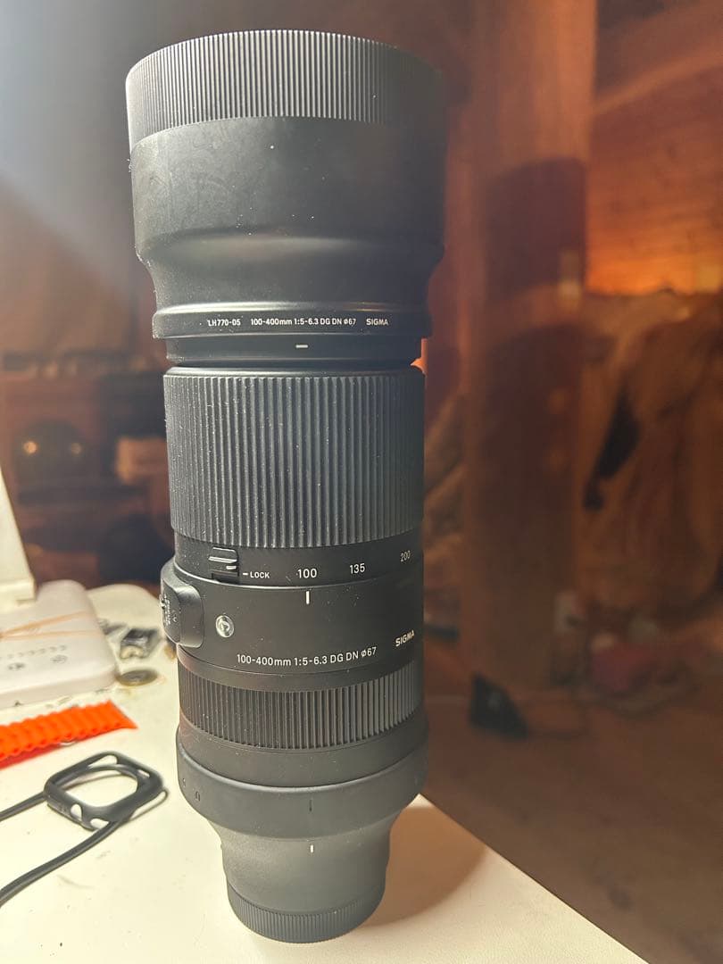 sony用 SIGMA 100-400mm F5-6.3