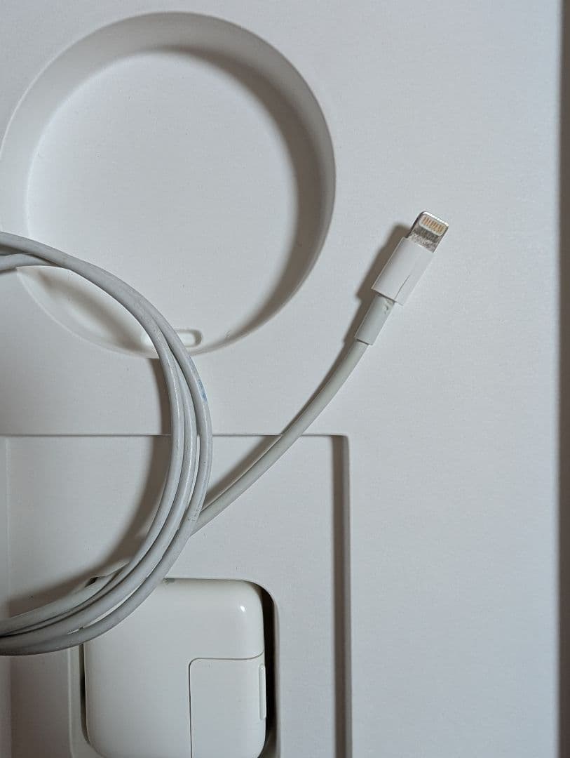 ipad pro 10.5インチ WiFiモデル 64G シルバー 付属品付き