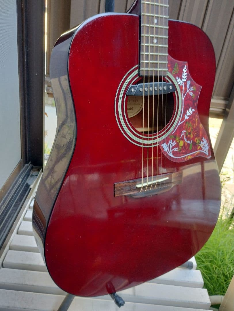 e*t様 超美品 Epiphone PRO-1 WR PU付きエレアコ