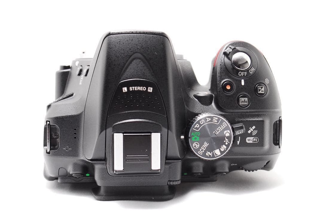 【Wi-Fi搭載】美品 Nikon D5300 標準レンズセット 初心者人気