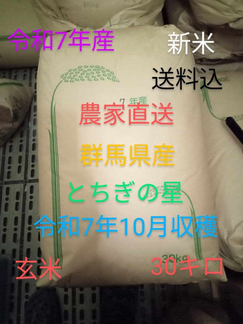 R7年産 新米 群馬県産 とちぎの星 30キロ 玄米 送料込 ①