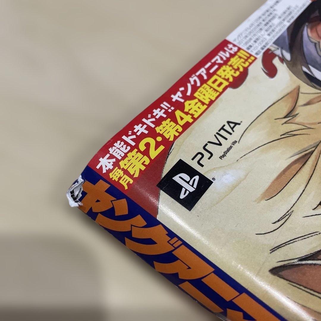 ヤングアニマル 2013年7号 篠崎愛 ベルセルク37巻別カバー未切 DVD付き