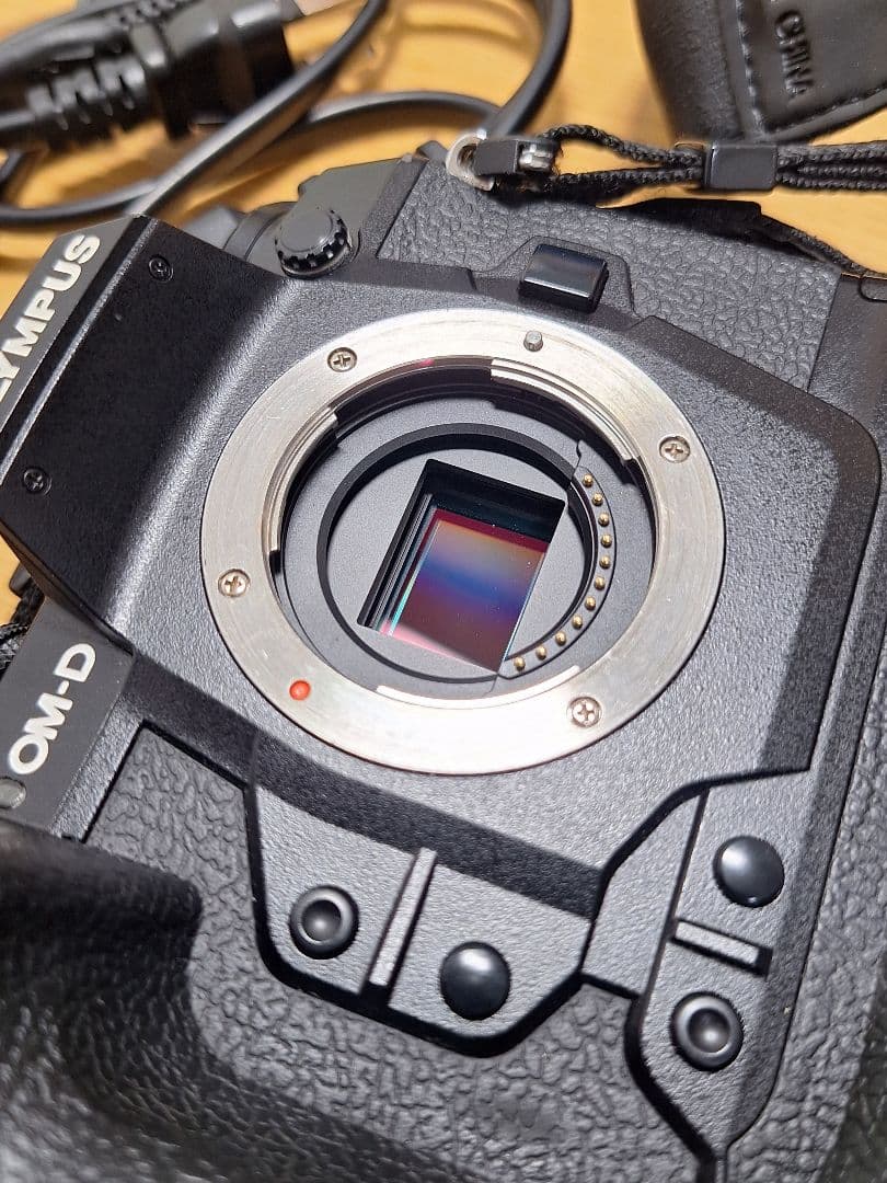 OLYMPUS　OM-D　E-M1X