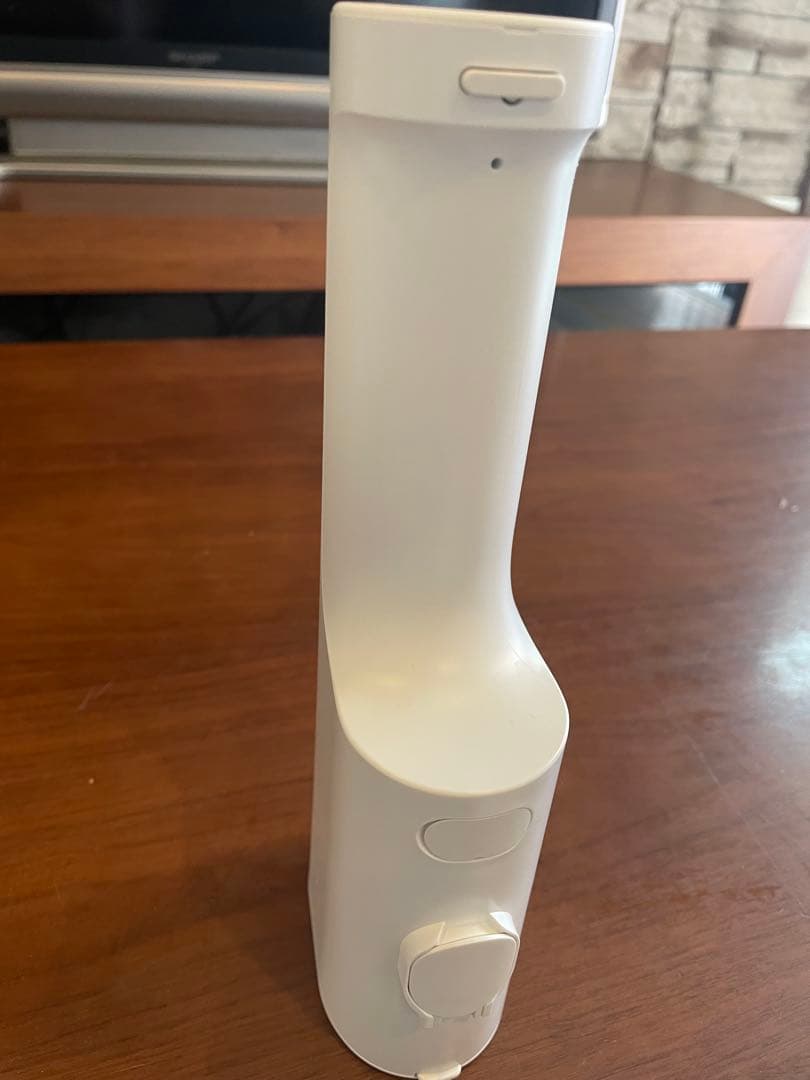 Panasonic ジェットウォッシャードルツ