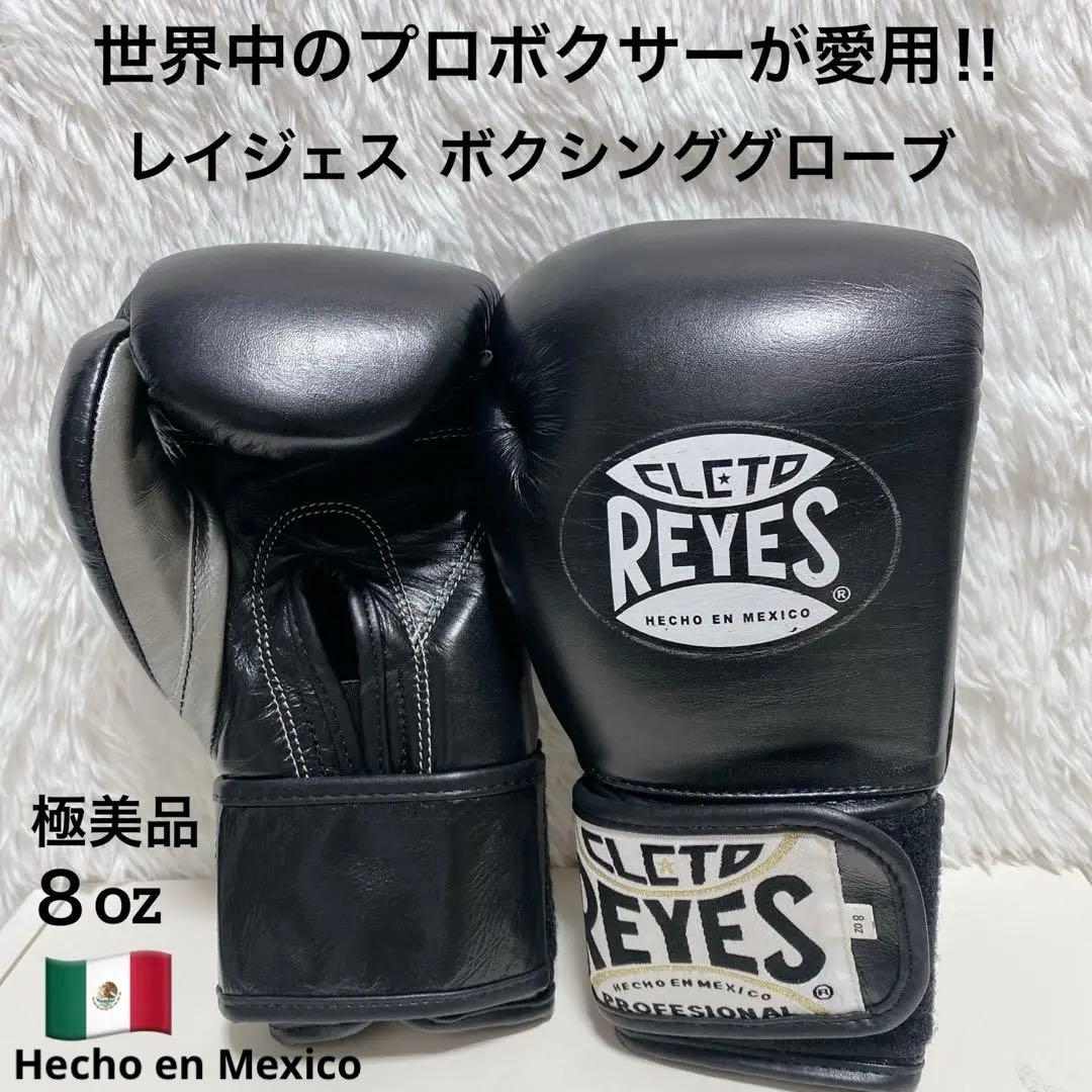 【美品】 レイジェス ボクシング グローブ 8oz プロ仕様