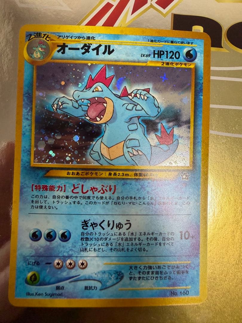 ポケモンカード neo プレミアムファイル　旧裏