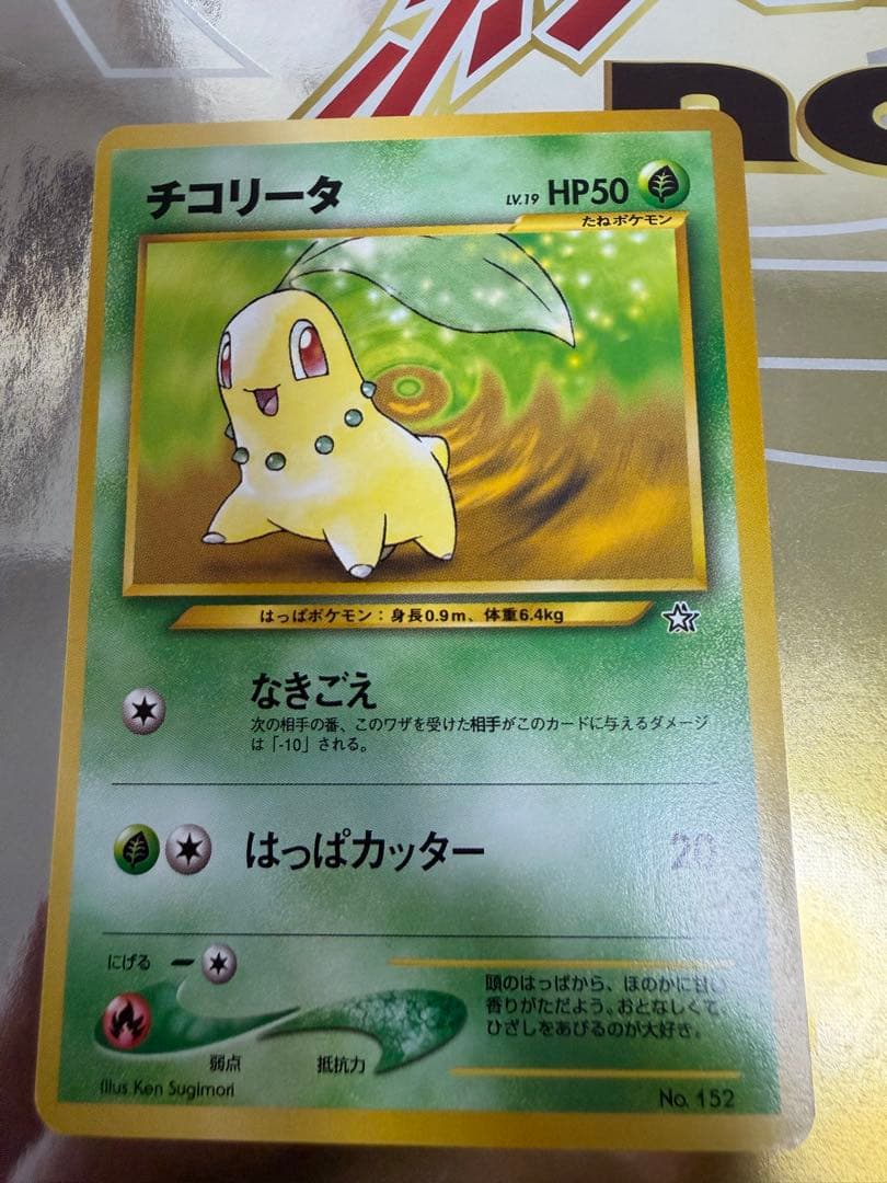 ポケモンカード neo プレミアムファイル　旧裏