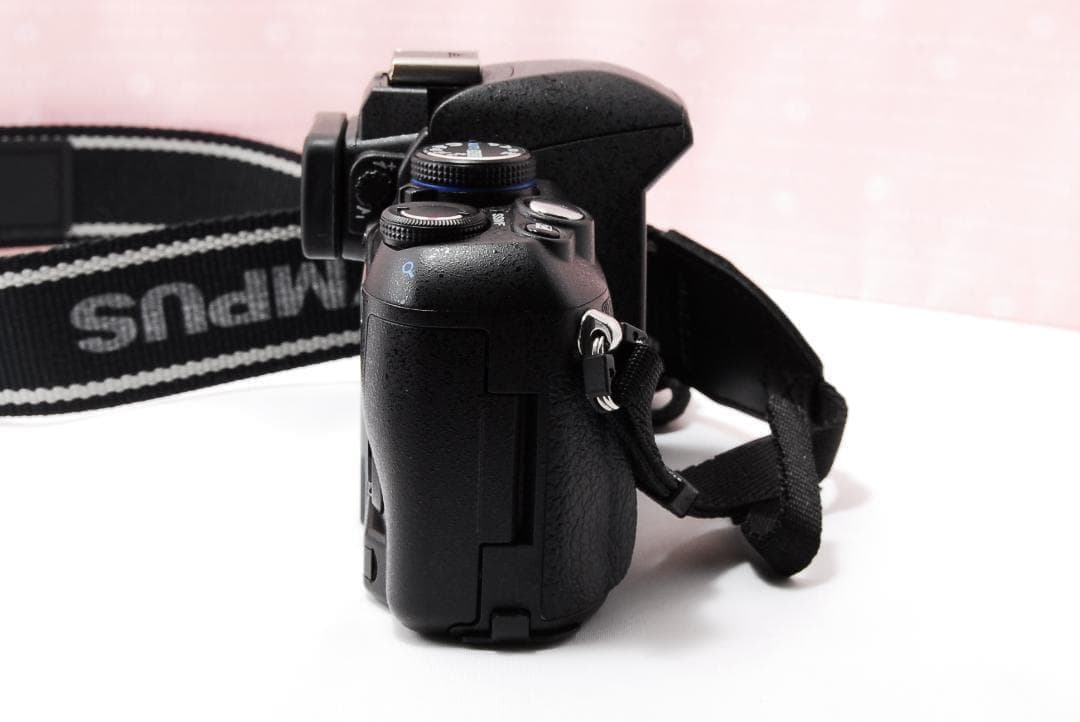 〓デジタル一眼レフカメラ〓オリンパス OLYMPUS E-420