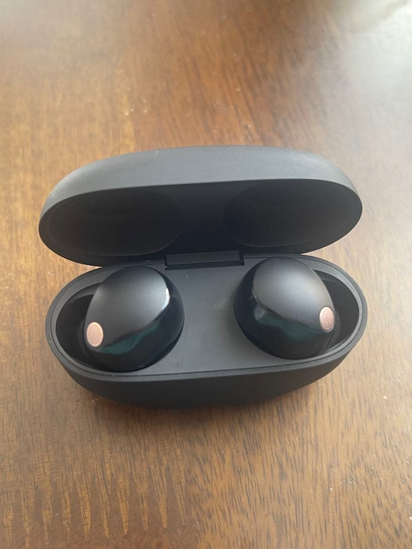 仁*斗様 Sony ワイヤーレスイヤホン