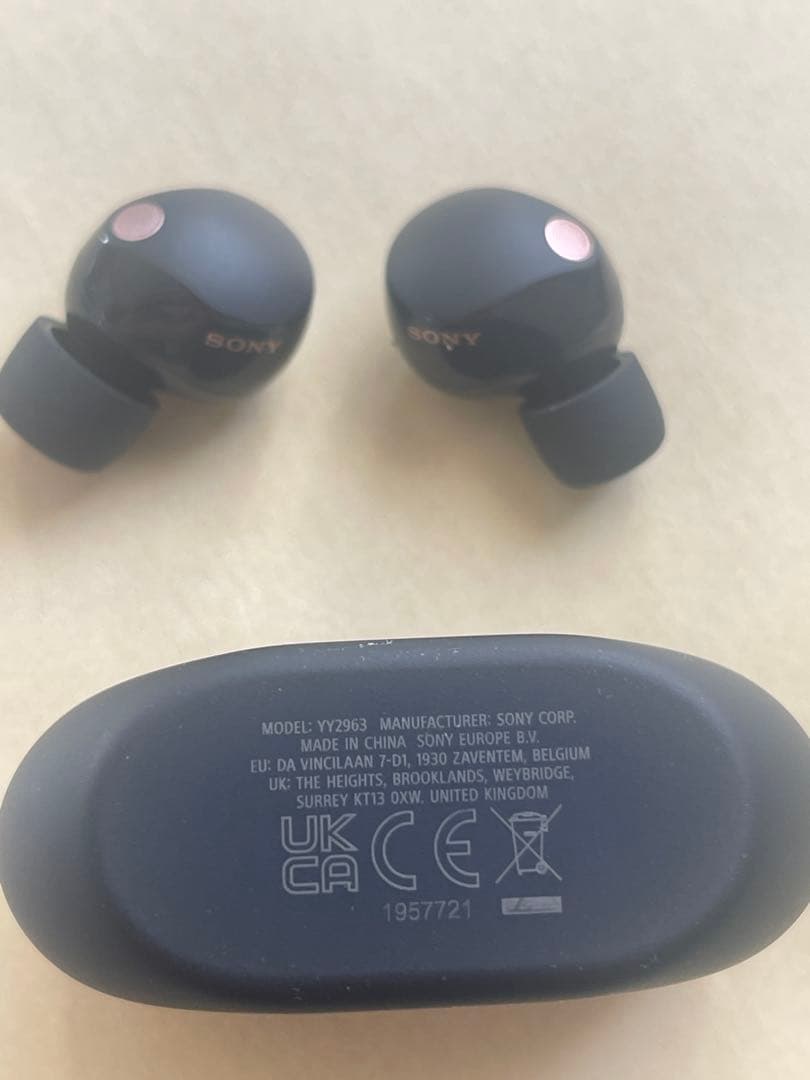 仁*斗様 Sony ワイヤーレスイヤホン