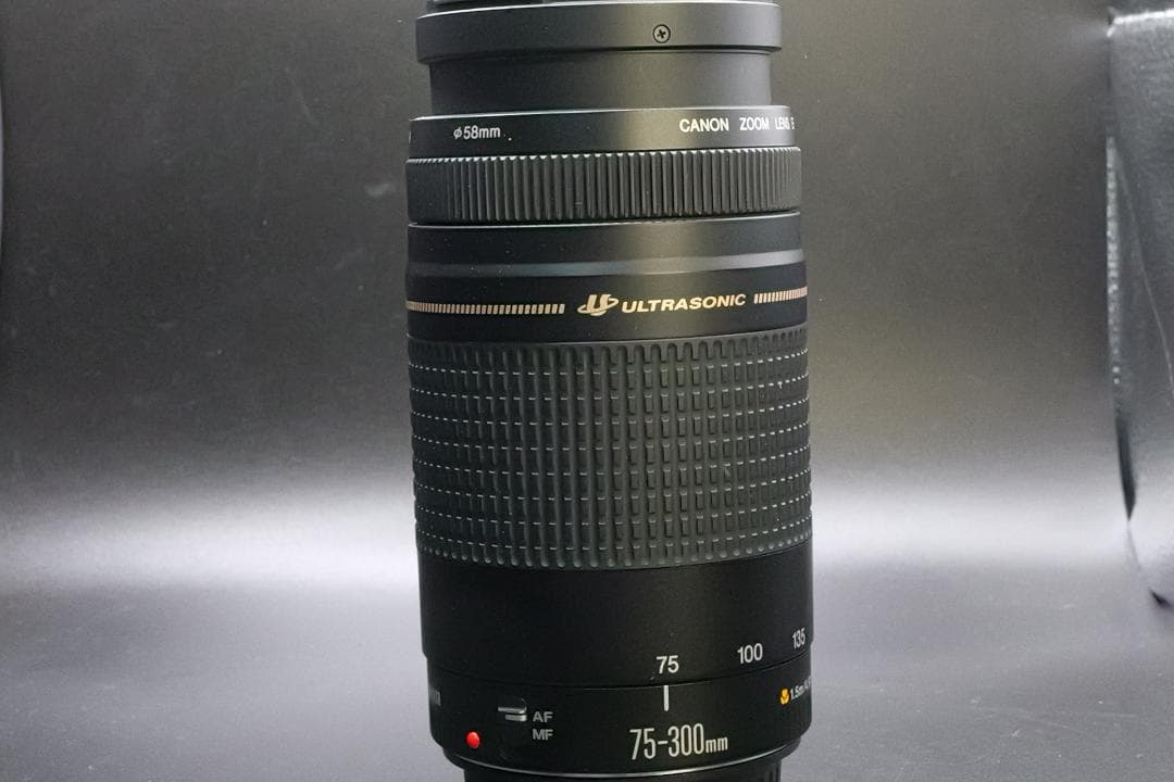 ★極美品望遠レンズ★ Canon EF 75-300mm 発表会 運動会用