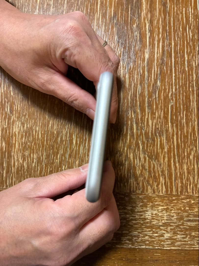 Apple iPhone SE（第二世代）シルバー 本体➕充電器の線2本