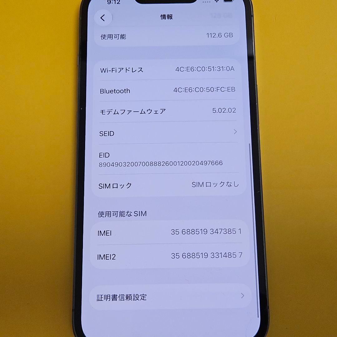 iPhone 13 Pro 128GB｜24時間以内発送#851