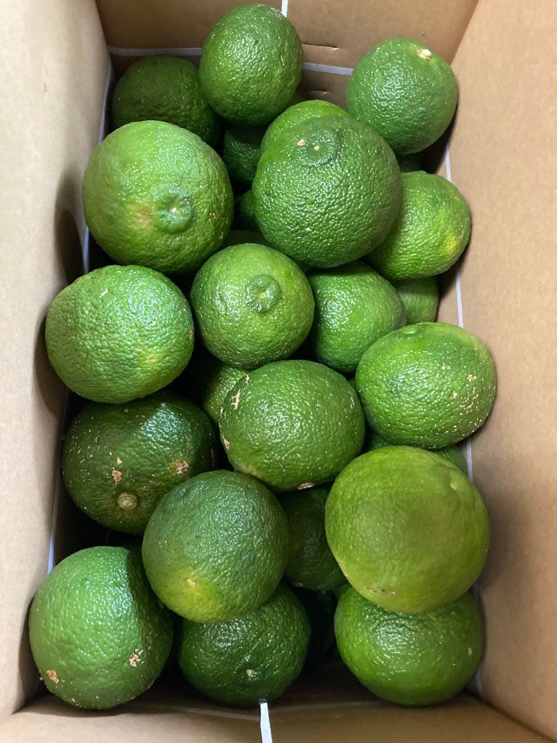 完全無農薬　青ゆず　青柚子　箱込み10kgちょっと入ります♪
