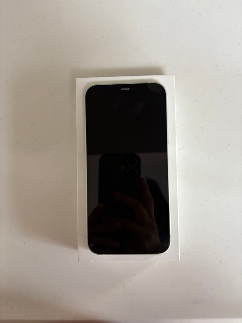 Apple iPhone 12 128GB グリーン 本体のみ(箱付き)