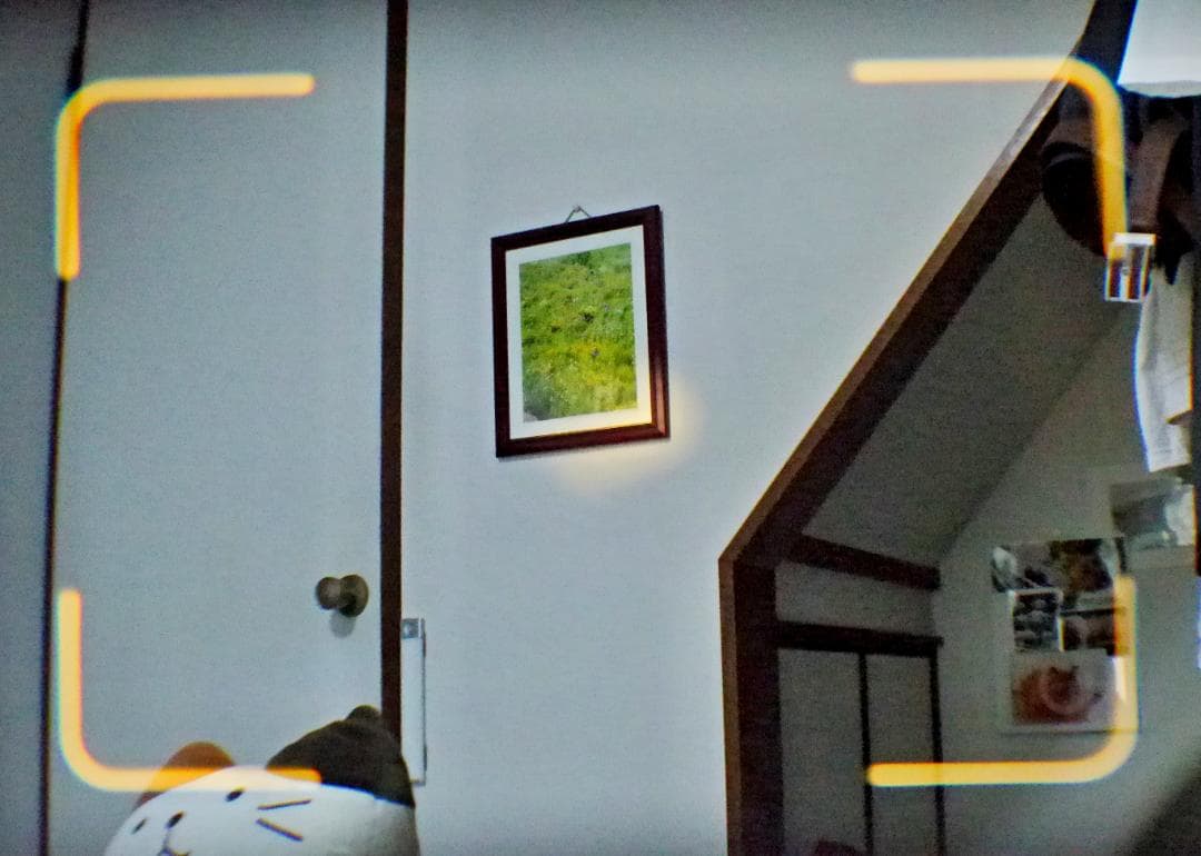 ヤシカエレクトロ35 GTN【良品・完動品・光学系分解整備済み】⑭