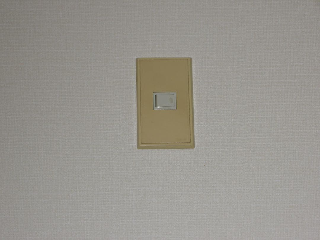 ◻︎SDカード付き◻︎ニコン Nikon COOLPIX P5000 完動品