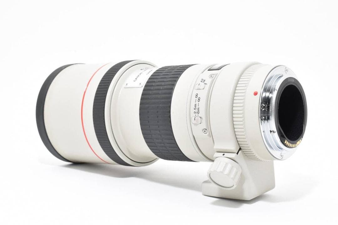 ★外観極美品★ EF 300mm F4L USM 《レンズキャップ付き！》