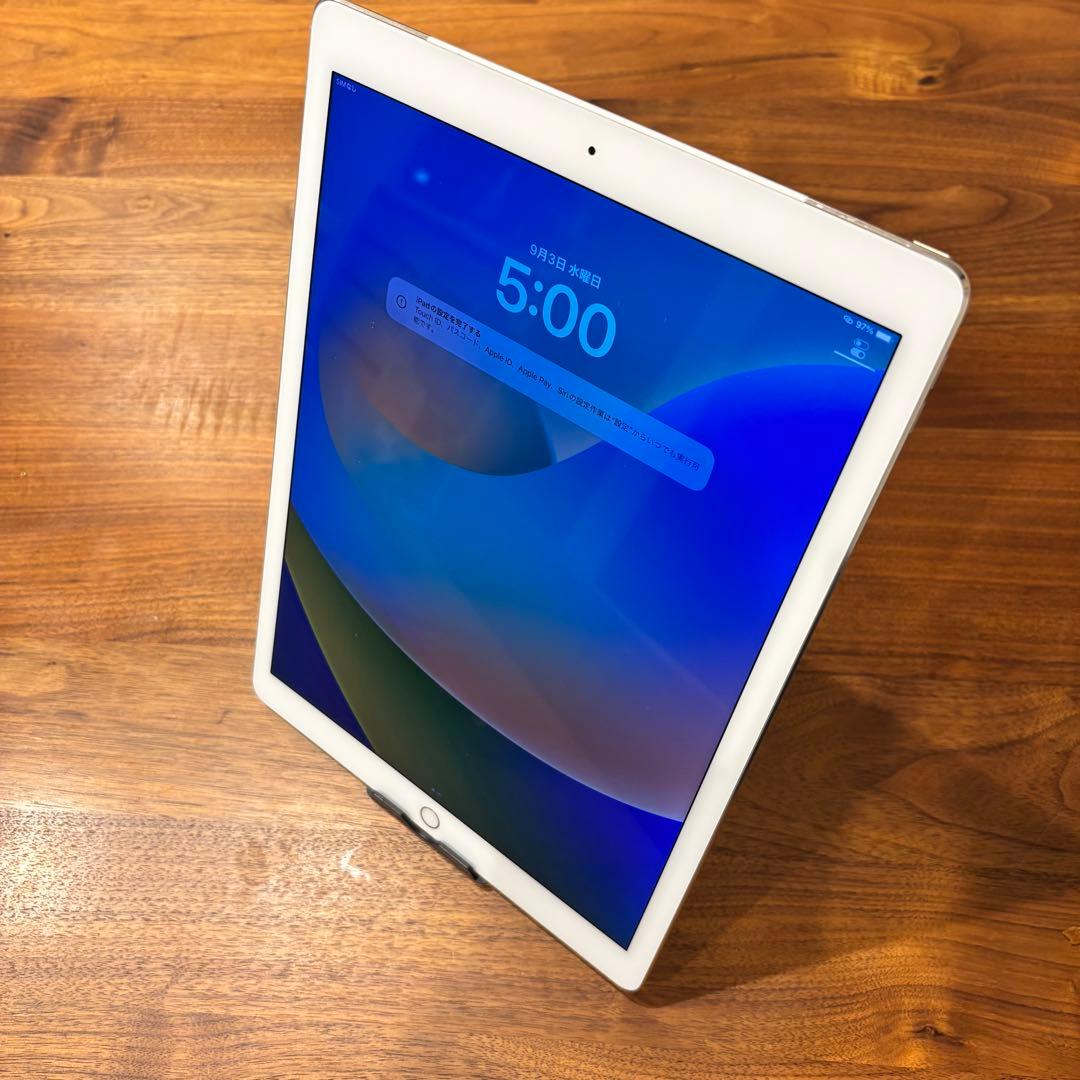 ✨ iPad Pro 12.9インチ 128GB Cellular SIMフリー