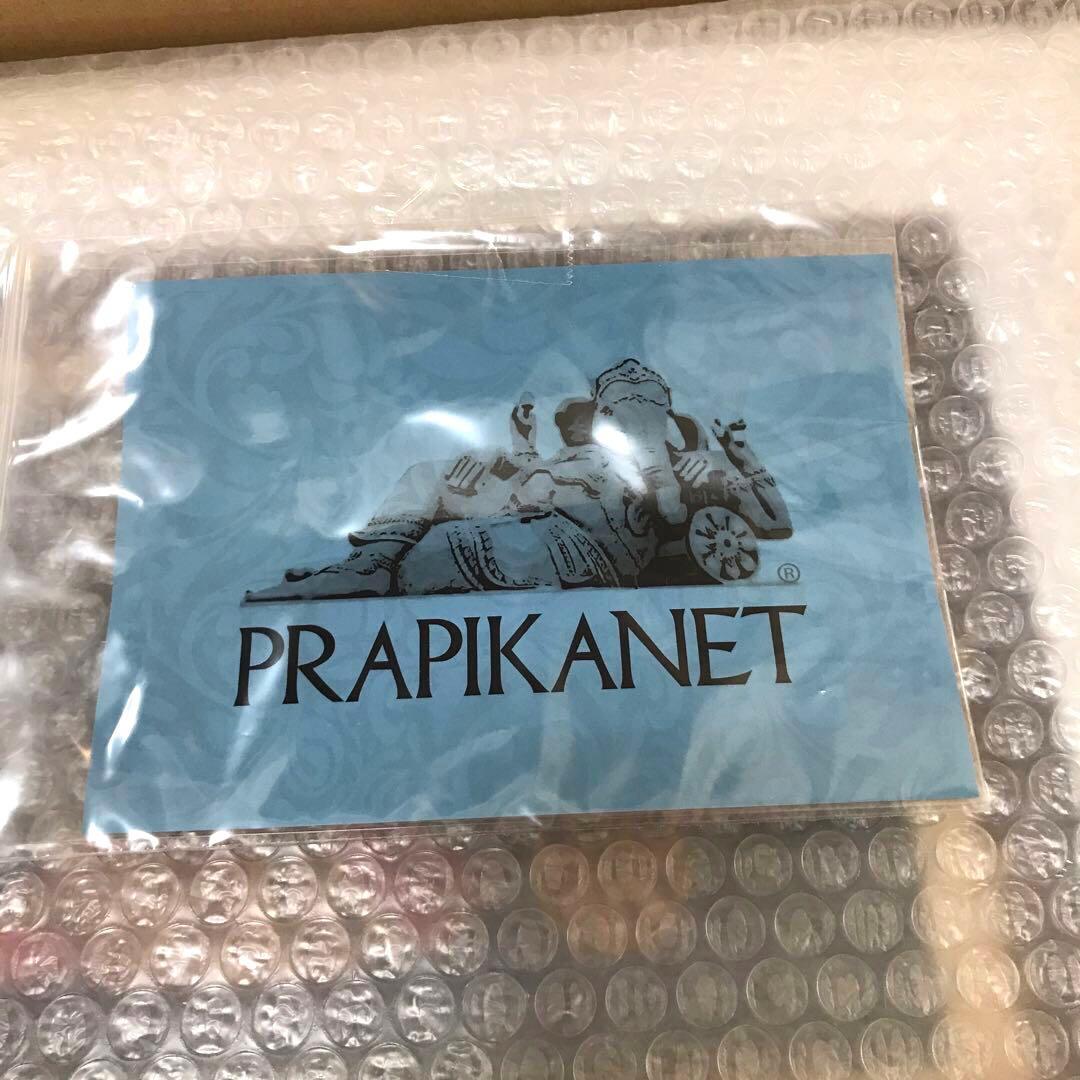 プラピカネ 神守りの象徴 ＜天空のピカネ＞の描画