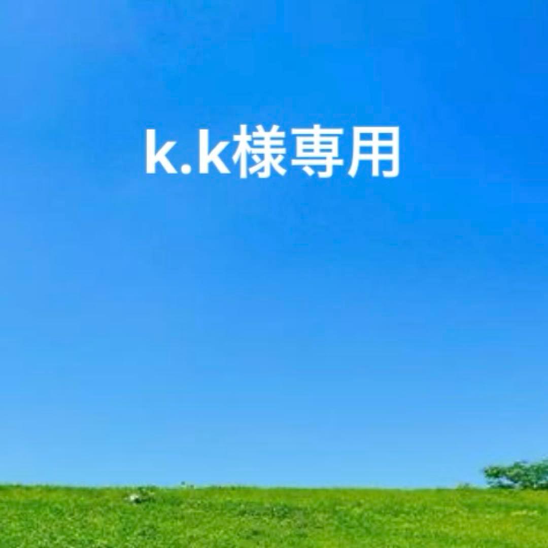 未使用　IL BISONTE イルビゾンテ　レザーフラップ長財布　チョコ　濃茶