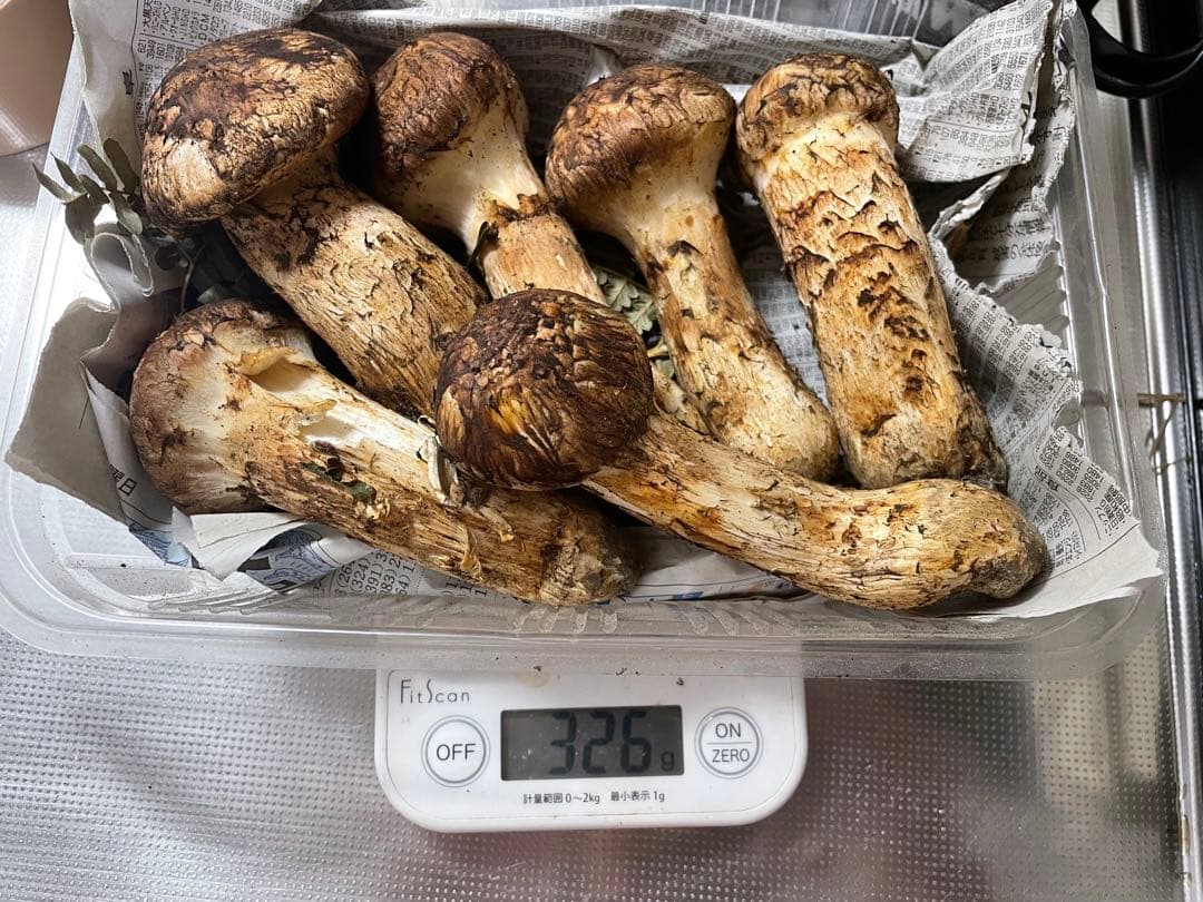 岩手マツタケ 7個 326g