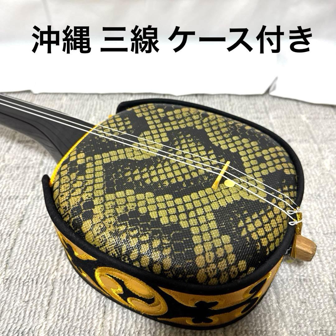 B076 沖縄 三線 蛇三線 人工皮 蛇柄 三味線 和楽器 ケース 付き