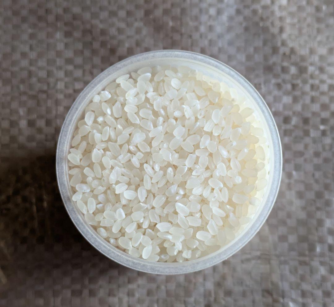 頑張ろ福島　令和７年度産会津コシヒカリ20キロ