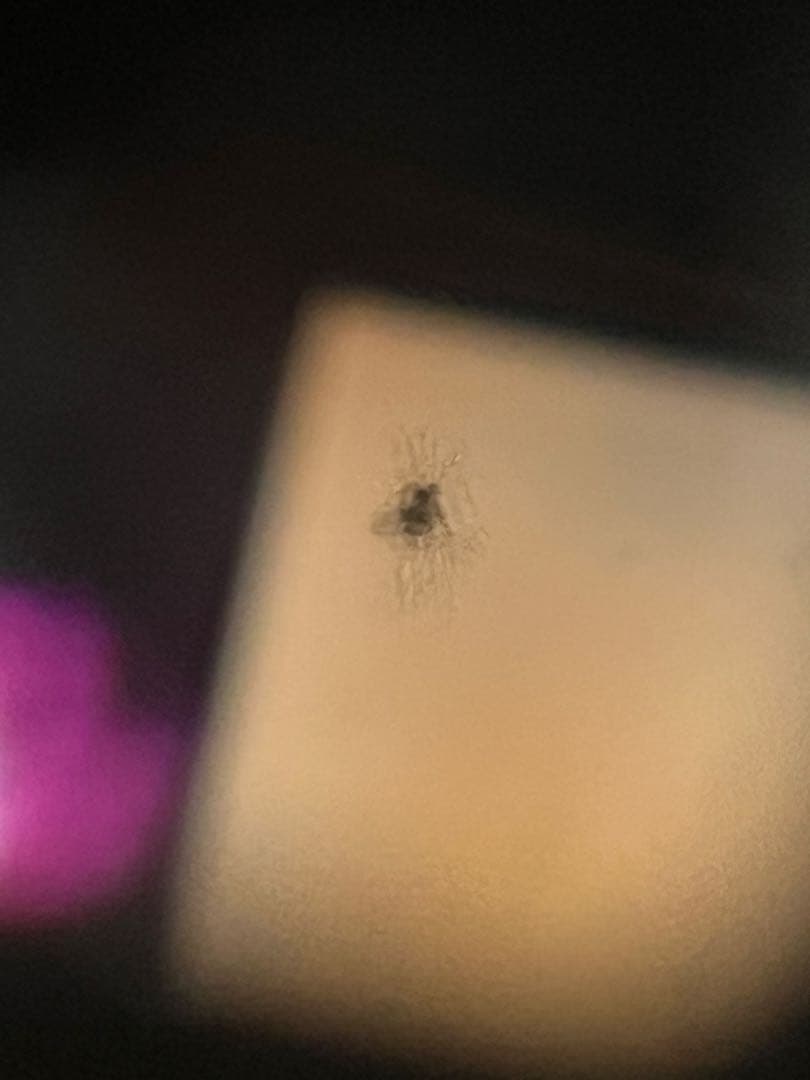 デジタルカメラ Canon EOS Kiss X5