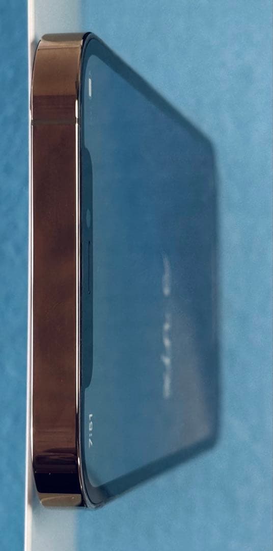 【美品！】Apple iPhone 12Pro ゴールド（本体のみ）