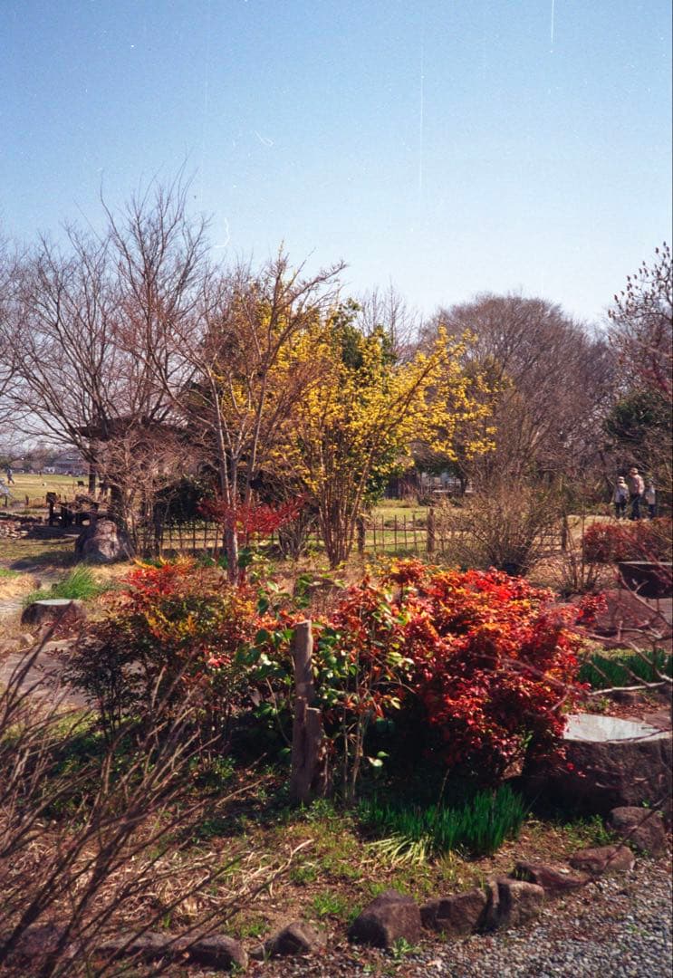 KONICA C35 ブラック　整備品、テスト撮影済み　361457