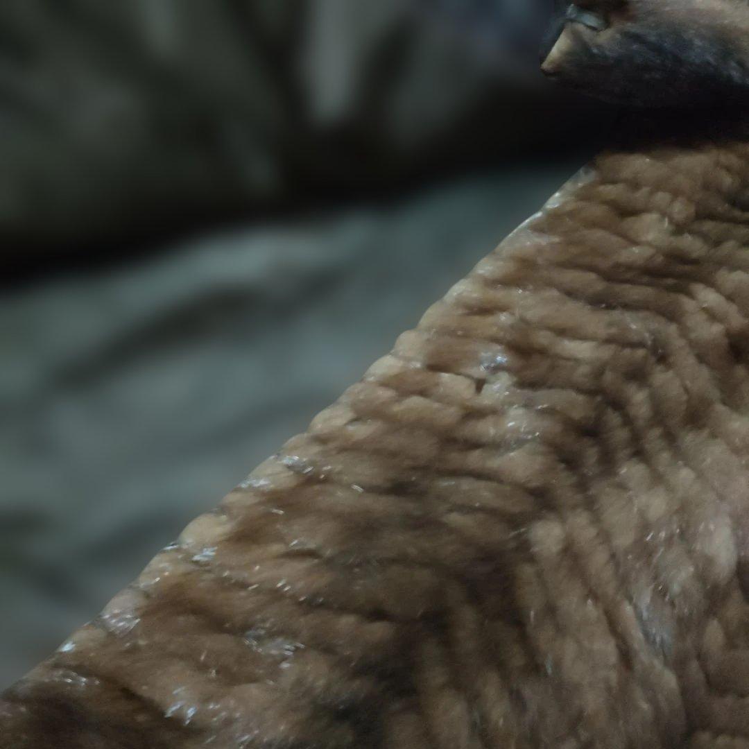 3 超美品　エンバ　EMBA 毛皮　ファーコート　ダークミンク