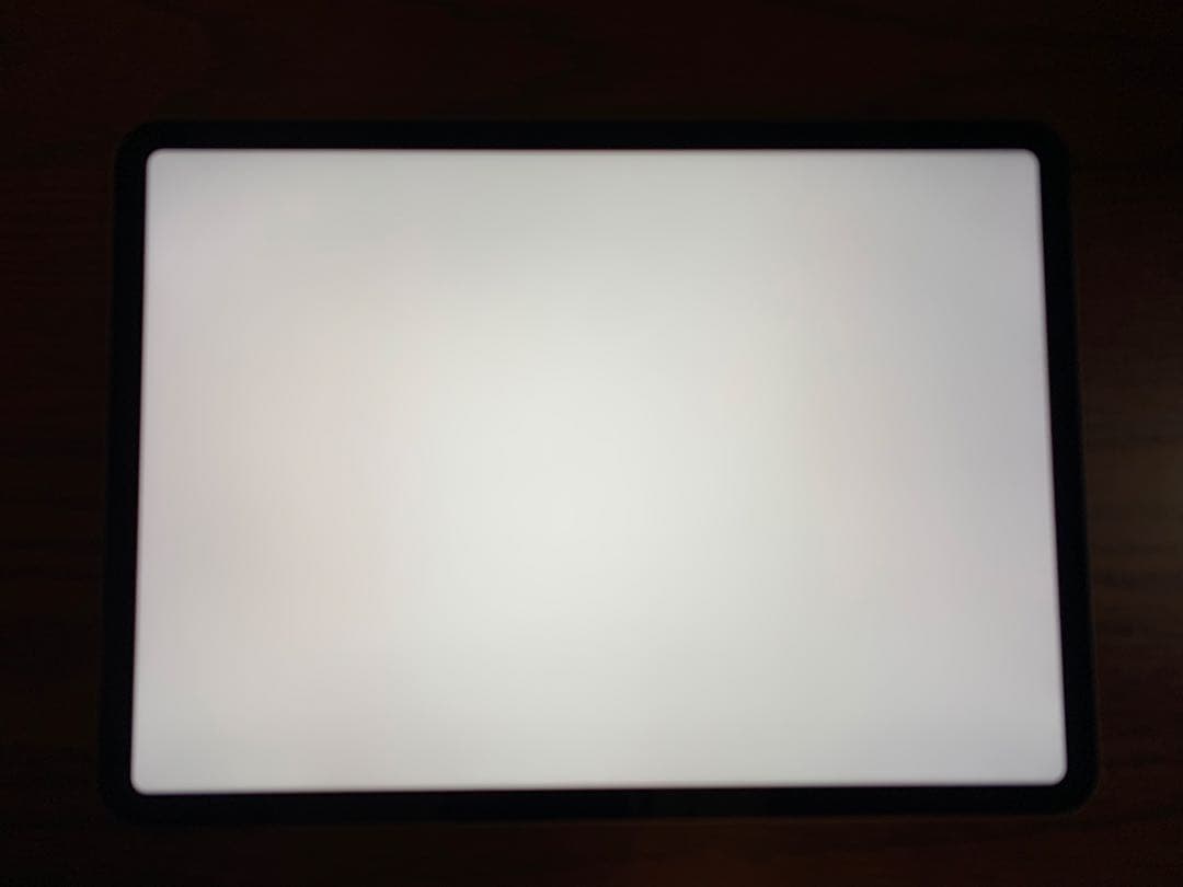 「Wanaさん専用」(M1) 11インチiPad Pro (第3世代)