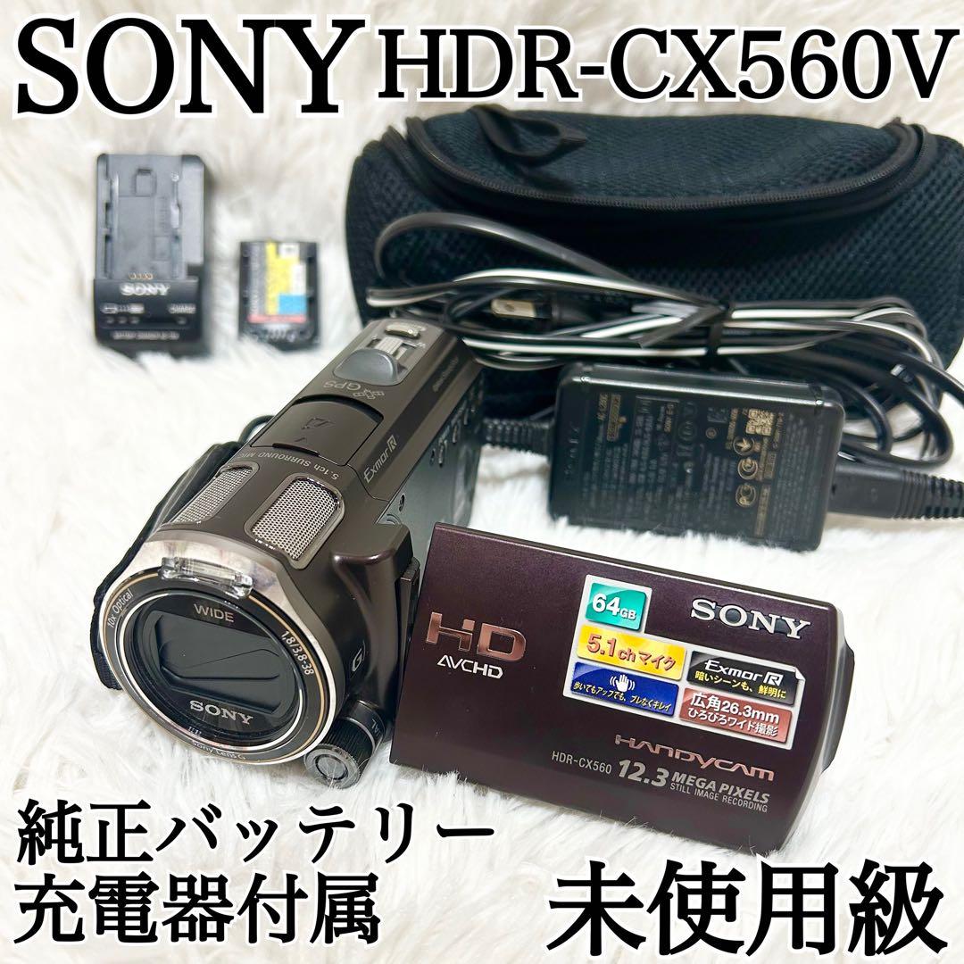 未使用級✨動作◎✨SONY HDR-CX560V ハンディカム 即使用セット付✨