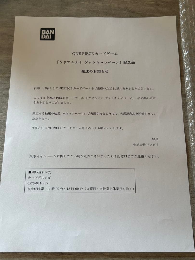 シリアル ナミ 1200枚限定 エッグヘッド プロモ 通知書つき 本物未開封