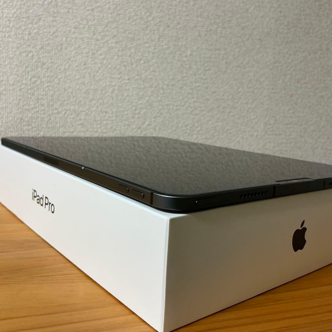 iPadPro 11インチ 第3世代 M1 256GB セルラーモデル