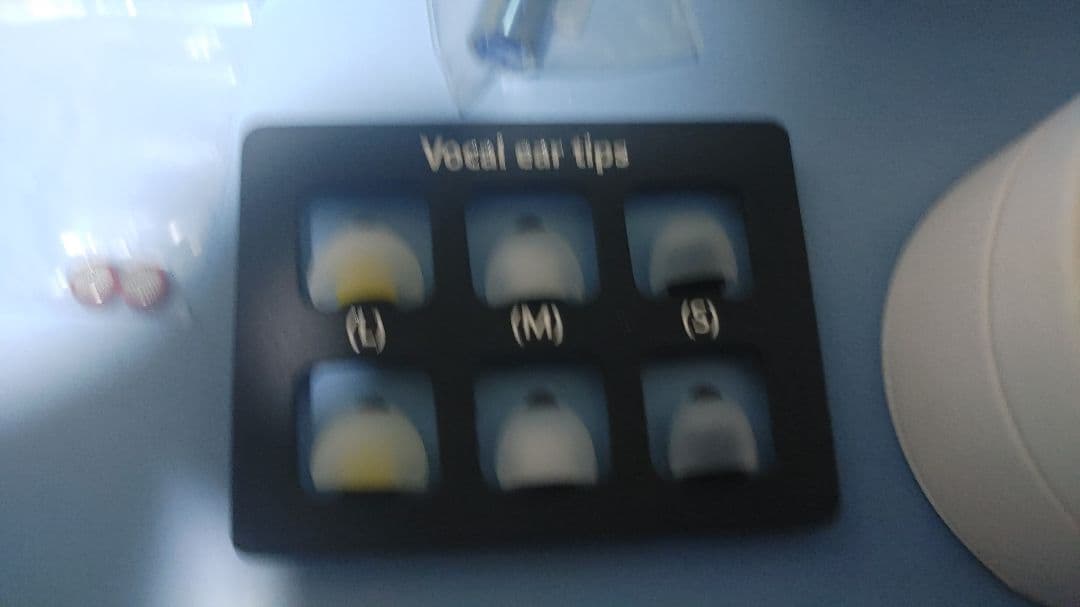 イヤホン bgvp ns10