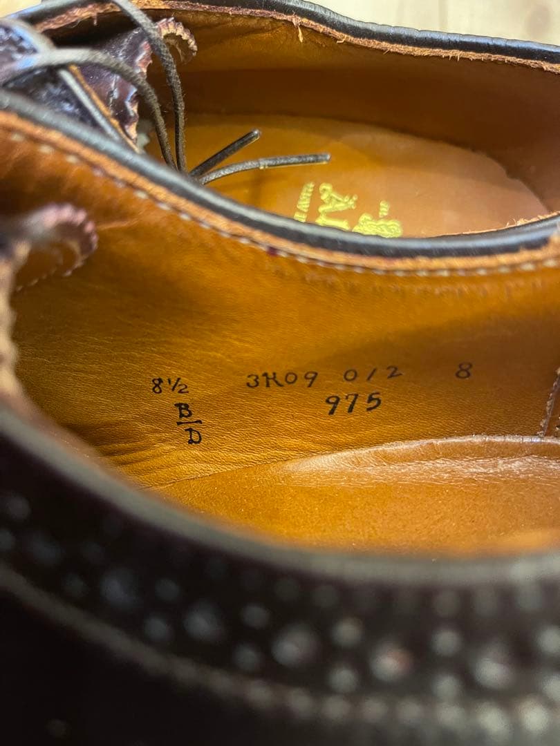 米国製新品Aldenオールデンコードバン バーガンディウィングチップ US8.5