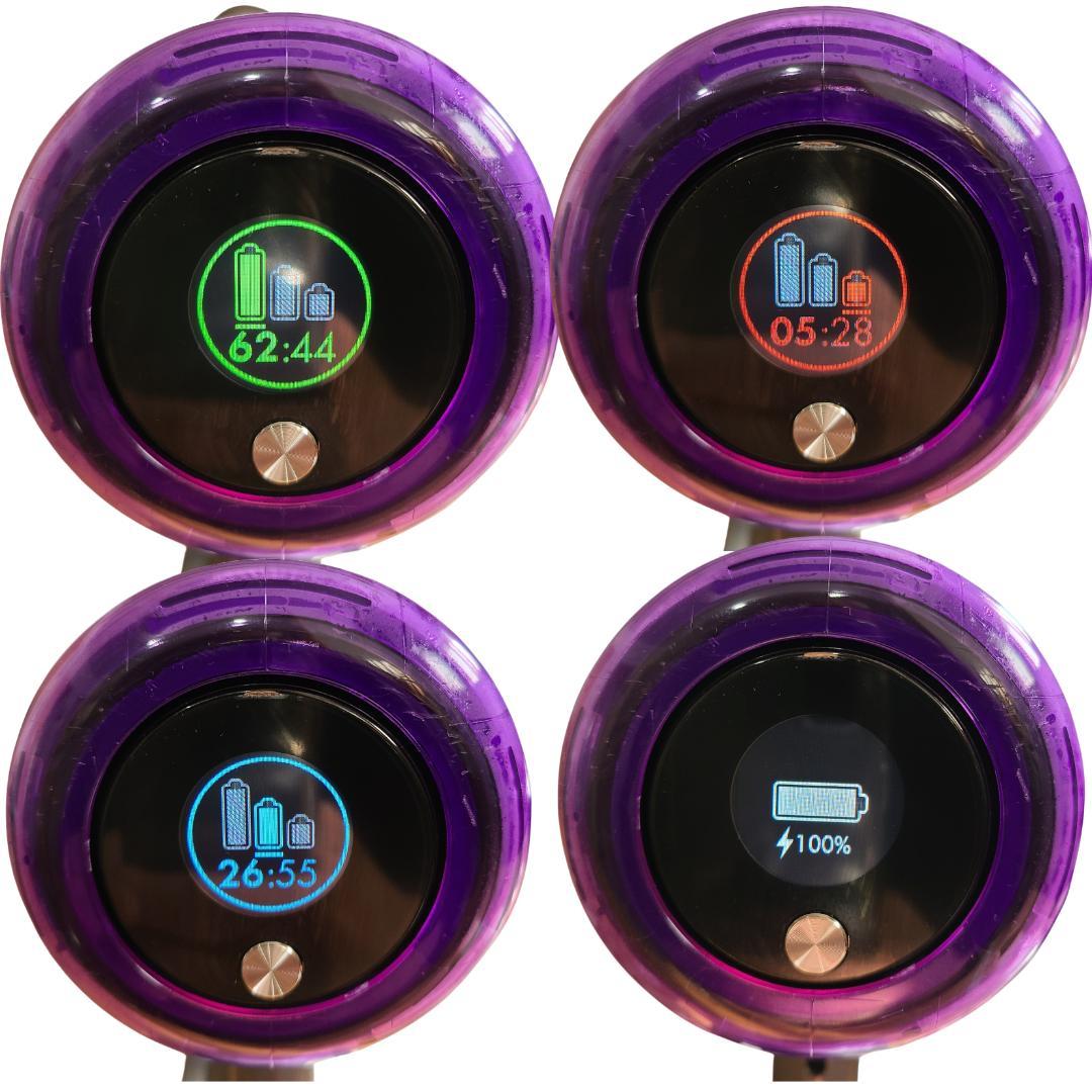 ダイソン掃除機　V11(SV14)本体 分解洗浄メンテナンス済