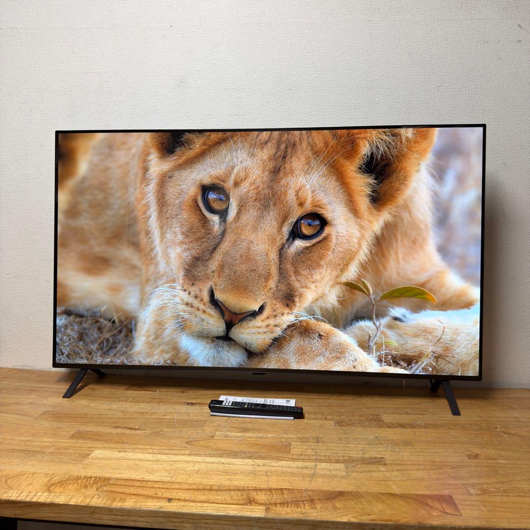 LG 55V型 4K 有機EL テレビ OLED55B4PJA 2024年製